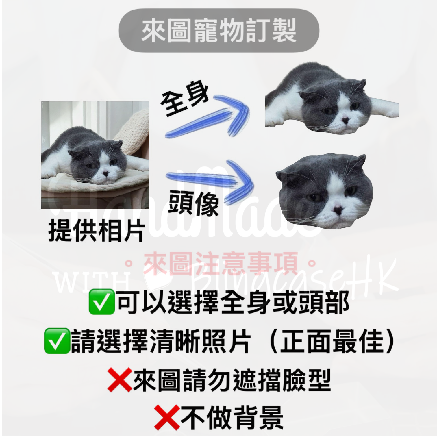 來圖寵物訂製 ｜ MagSafe 狗圖案 手工滴膠 iPhone 防摔手機殼