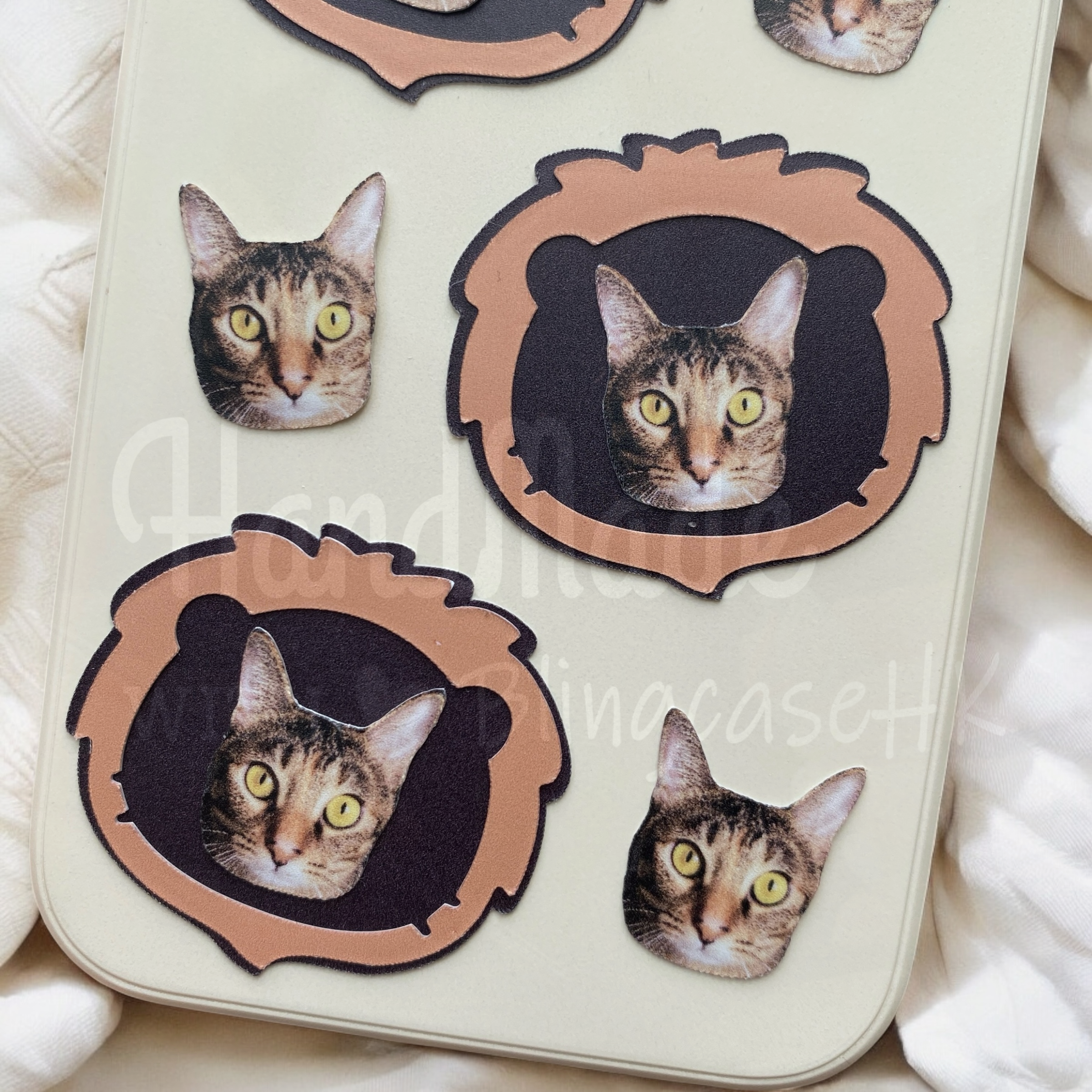 來圖寵物訂製 │ 獅子頭 Samsung Galaxy 三星 磨砂手機殼