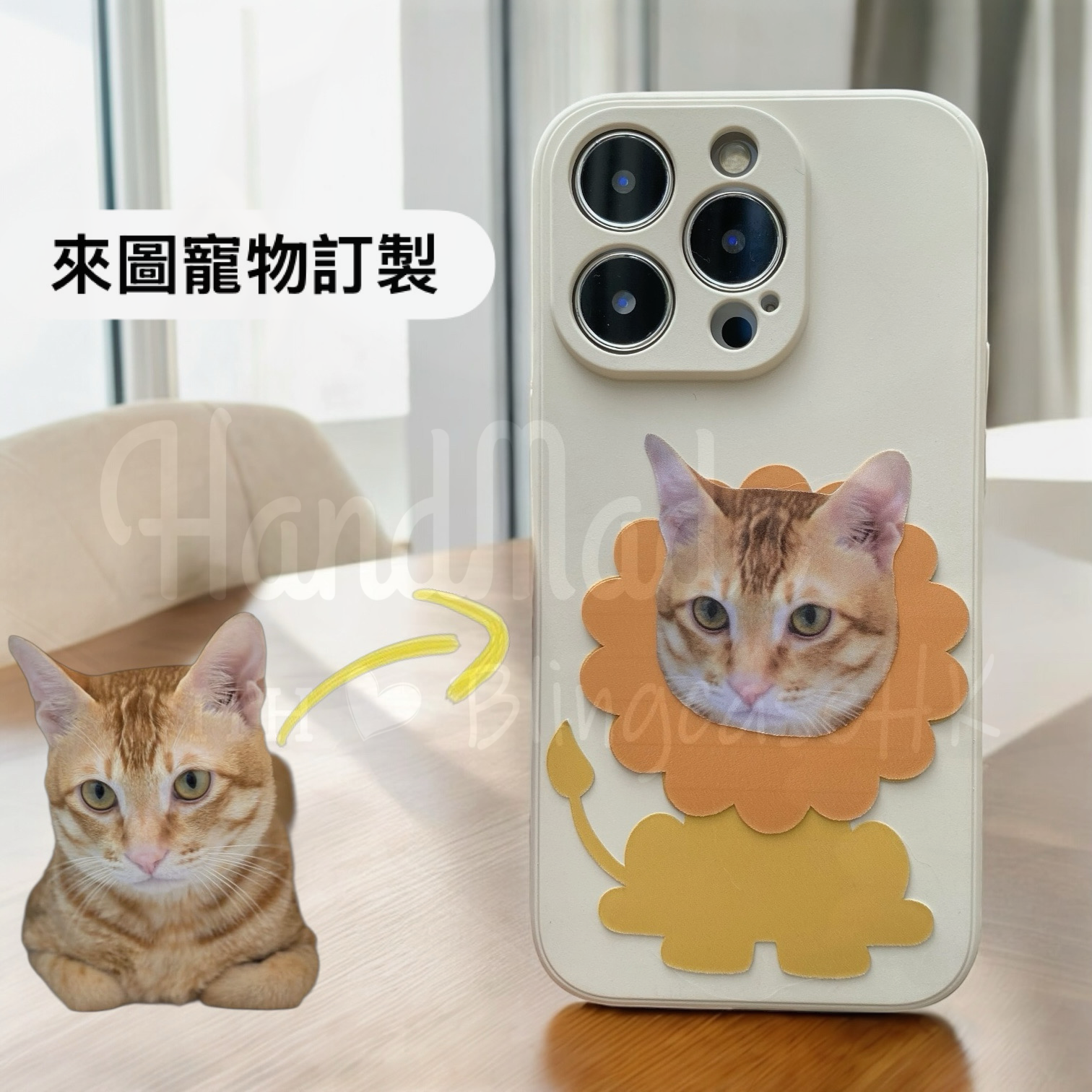 來圖寵物訂製 ｜ 獅子頭 iPhone 磨砂手機殼