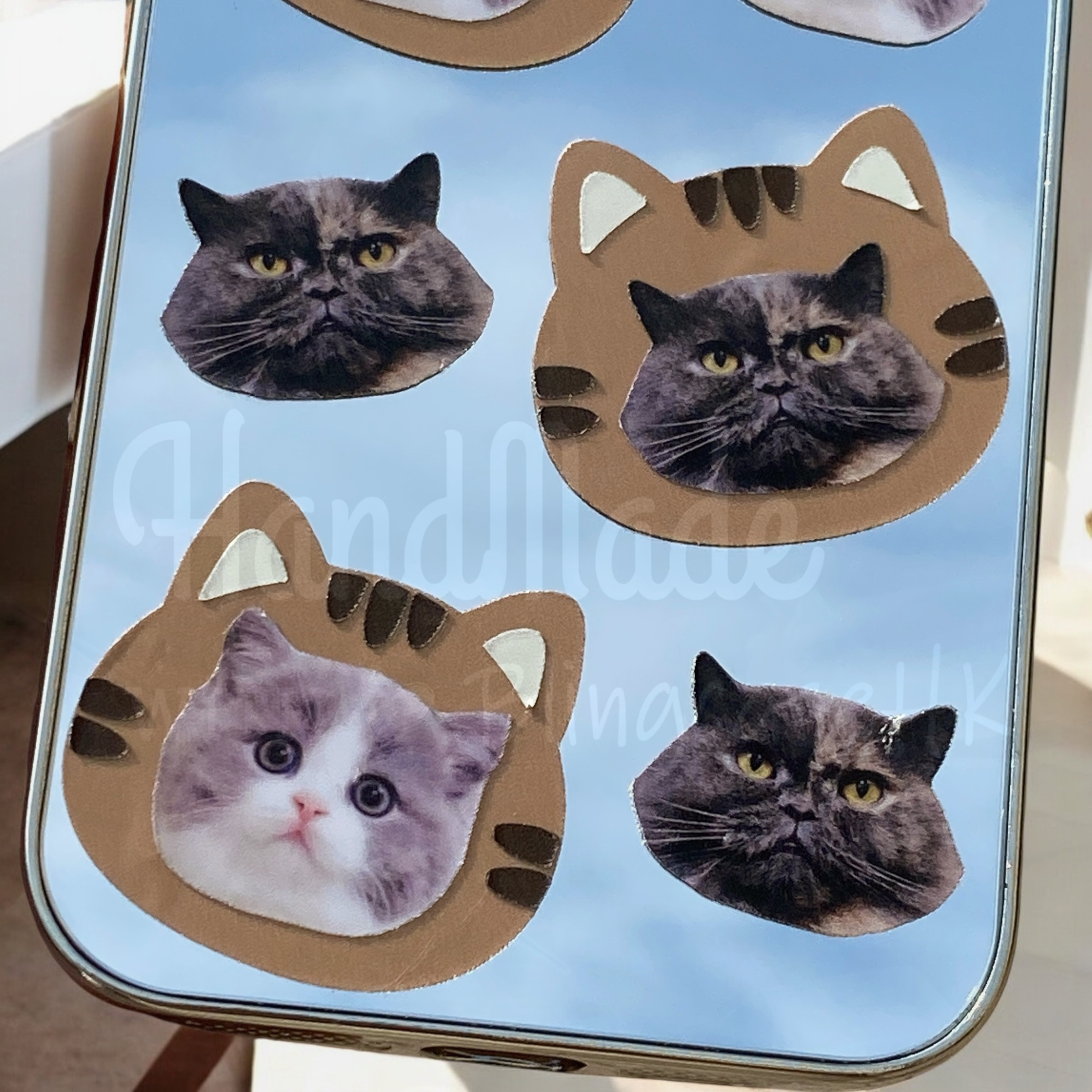 來圖寵物訂製 │ 老虎頭 iPhone 鏡面手機殼