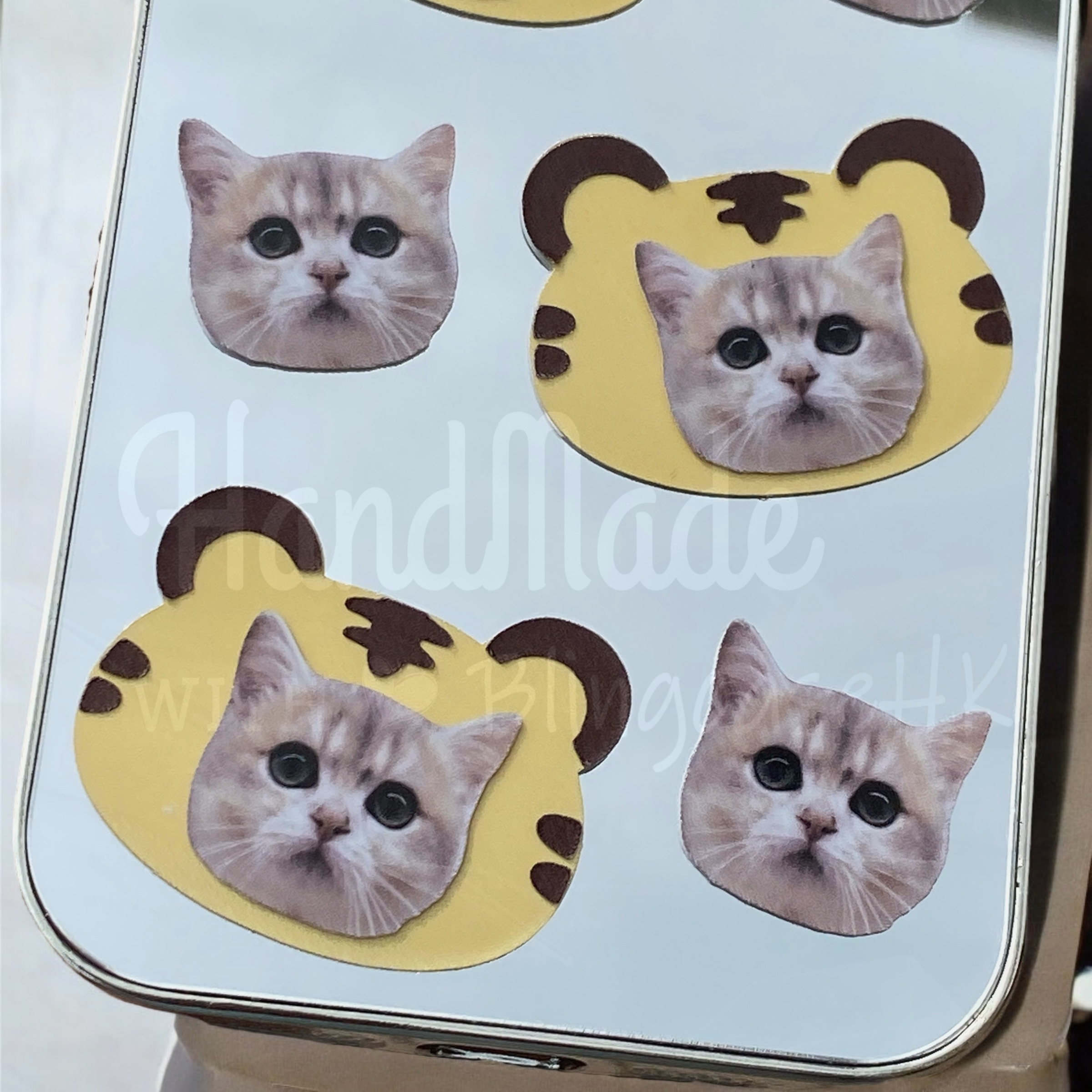 來圖寵物訂製 │ 老虎頭 iPhone 鏡面手機殼